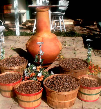 Photo at pecan gathering time